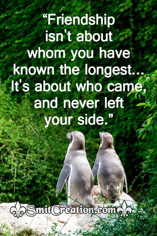 Friendship isn’t about whom you have known the longest…