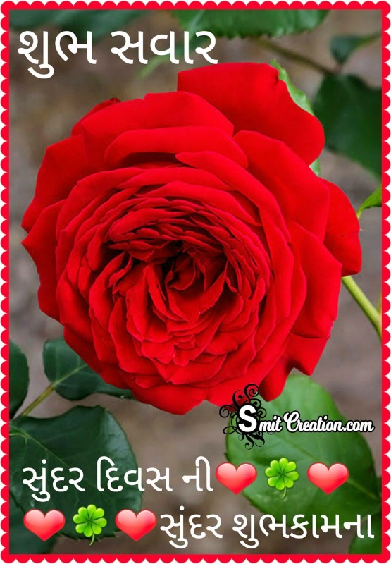 Shubh Savar Flower Image