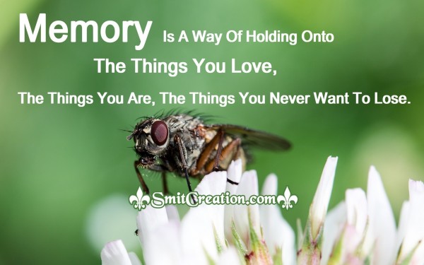 Memory Is A Way Of Holding Onto The Things You Love