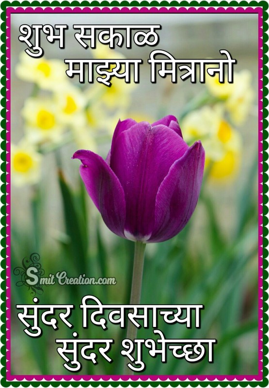 Shubh Sakal Mazya Mitranno – Sunder Divsachya Sunder Shubhechha