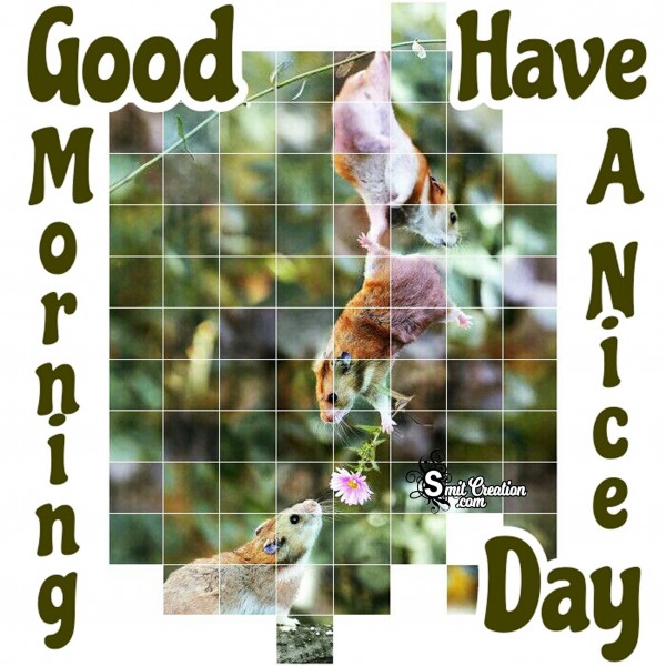 Good Morning Have A Nice Day