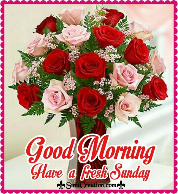 Good Morning Have a fresh Sunday