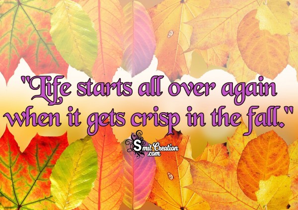 “Life starts all over again when it gets crisp in the fall.” 