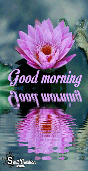 Good Morning Animated  Lotus Flower