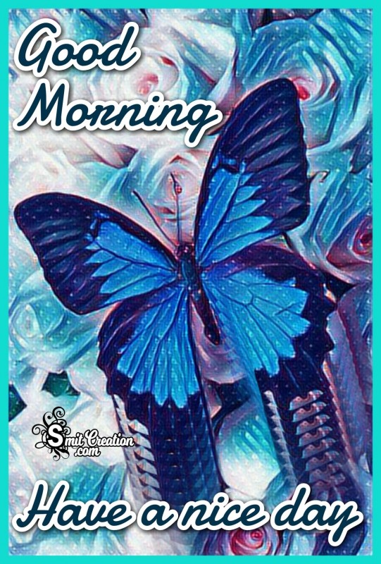 Good Morning Have a Nice Day