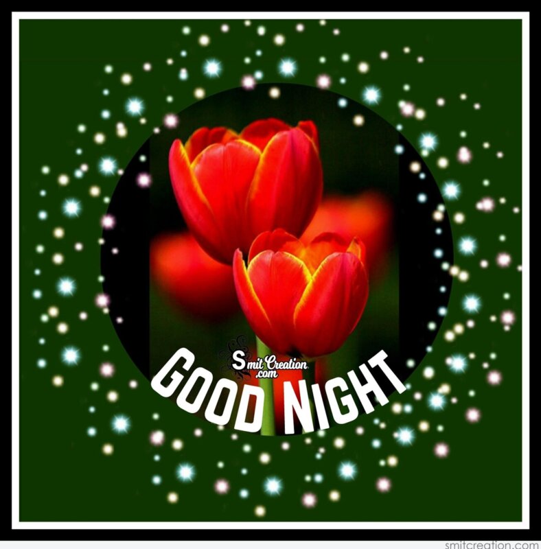 Good Night Flower Images