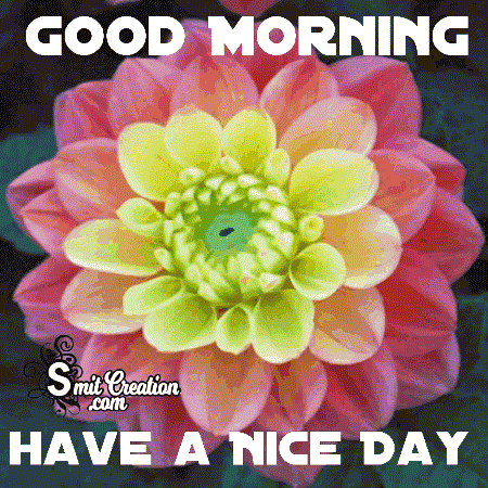 Good Morning Animated Gif Image of Flower