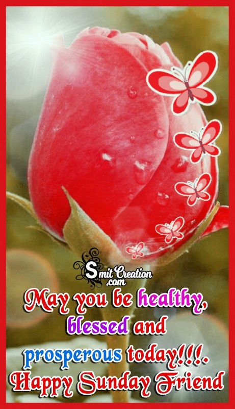 Happy Sunday Friend