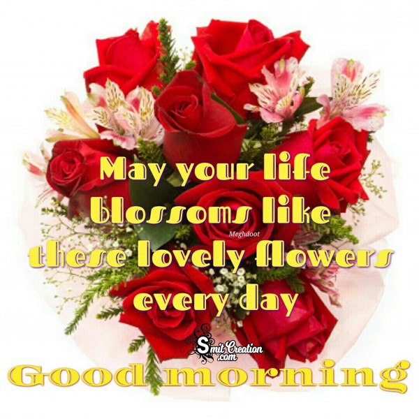 Good Morning Flowers