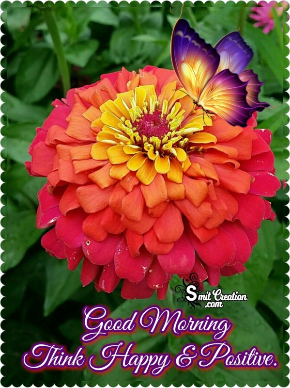 Good Morning Messages And Wishes