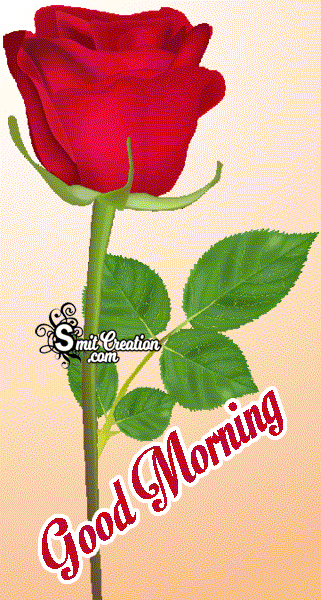 Good Morning Animated Rose Gif Image