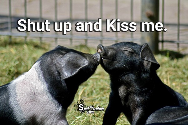 Shut Up And Kiss Me