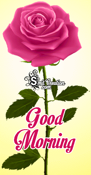 Good Morning Rose Animated Gif Image