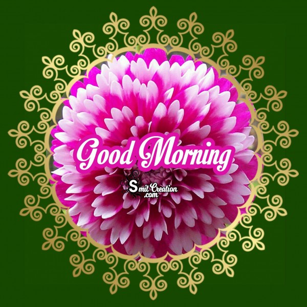 Good Morning Beautiful Flower Image