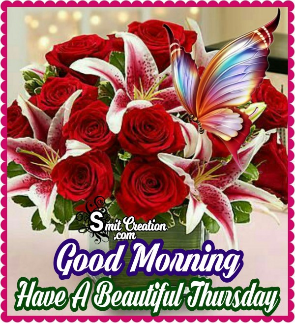 Good Morning -Have A Beautiful Thursday
