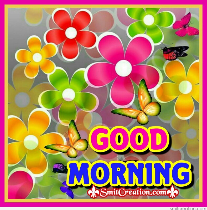 Good Morning Colourful Flowers With Butterflies Smitcreation Com