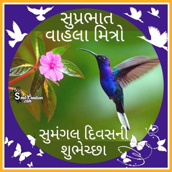 Suprabhat Vahla Mitro – Sumangal Diwas Ni Shubhechha