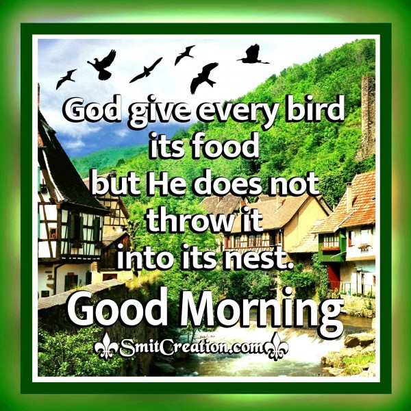 Good MornIng – God Gives Every Bird Its Food