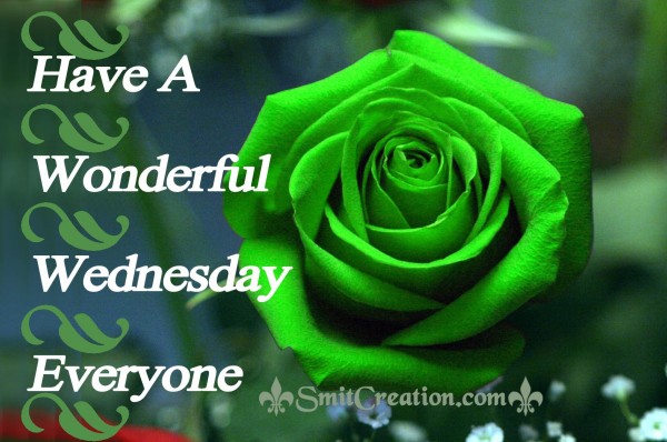 Have A Wonderful Wednesday Everyone