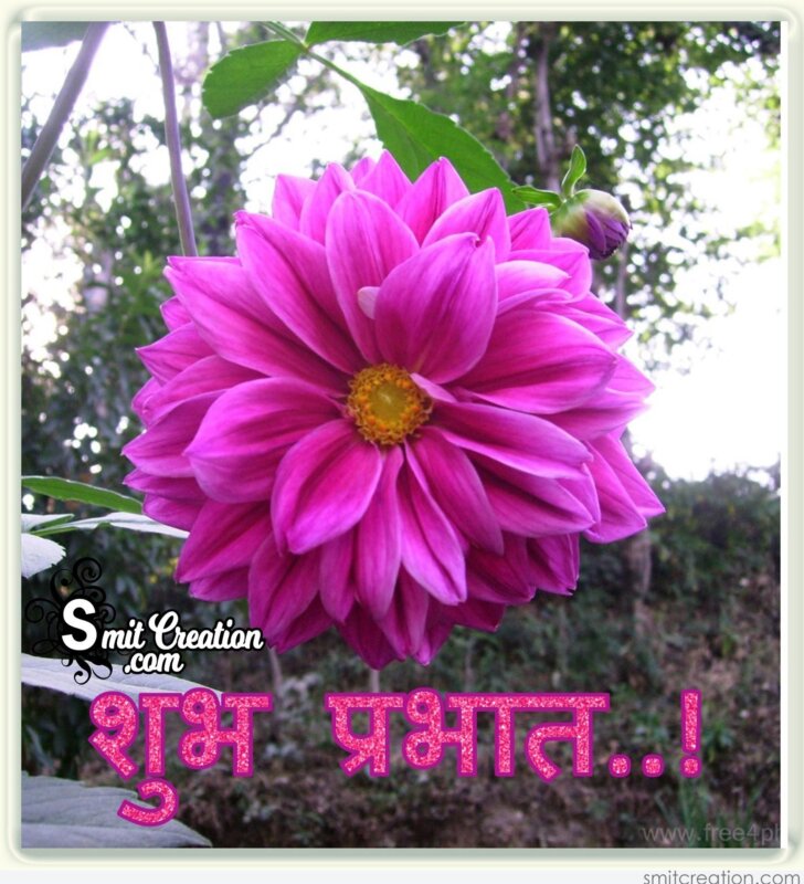 Shubh Prabhat Flower Image Smitcreation Com