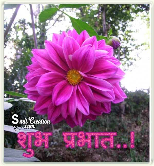 Shubh Prabhat Flower Image