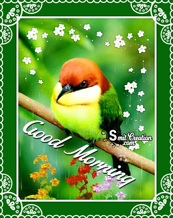 Good Morning Wishes With Green Bird Image