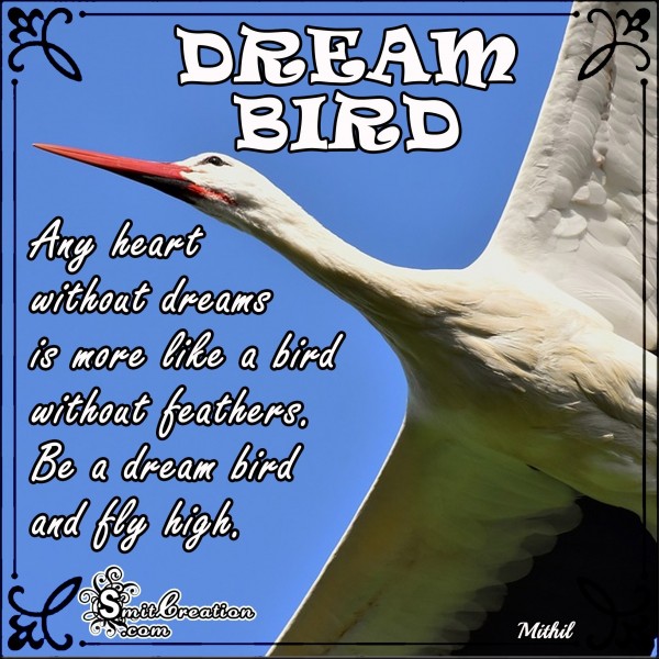 Be A Dream Bird And Fly High