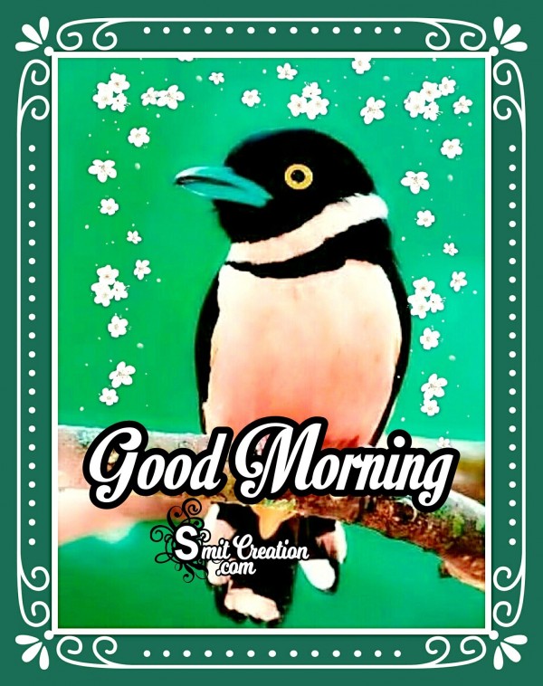 Good Morning Wishes With Bird Image