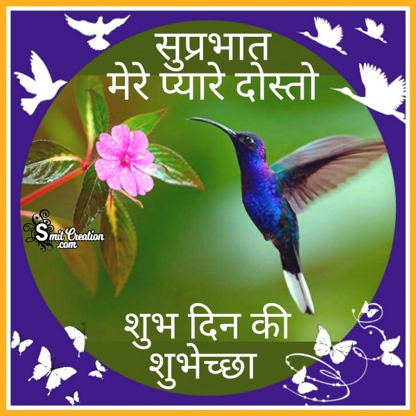 Shubh Prabhat Birds