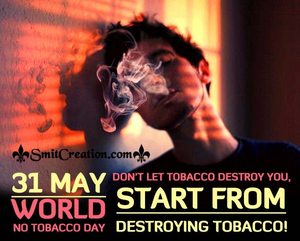 31 May World No Tobacco Day – Start From Destroying Tobacco!