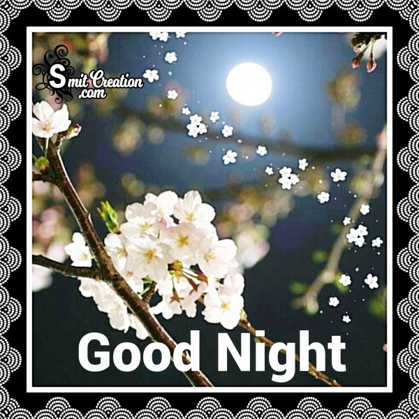 Good Night Flower