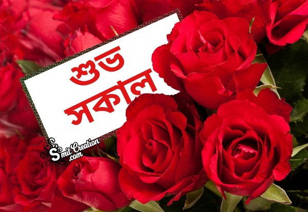 Good Morning Shuvo Sokal