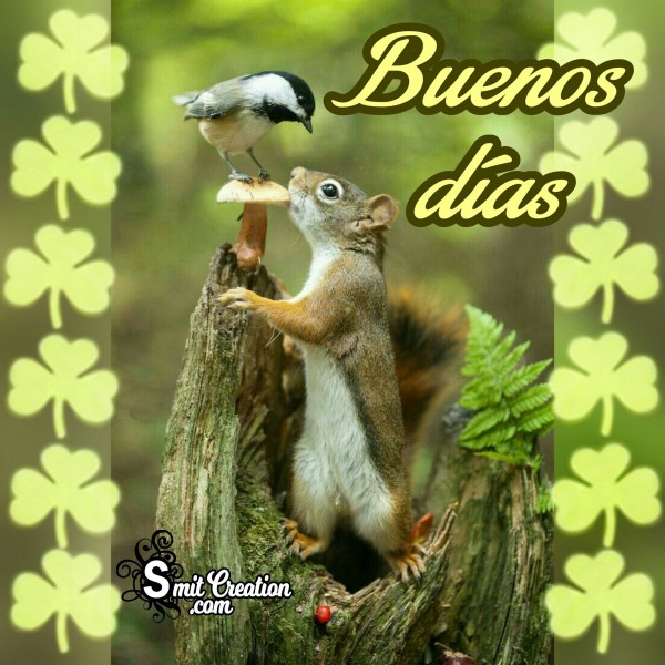 Good Morning – Buenos dias