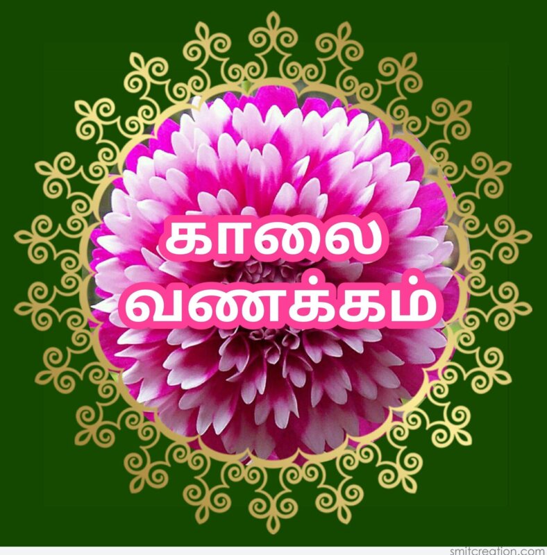 Good Morning Kalai Vanakkam Smitcreation Com
