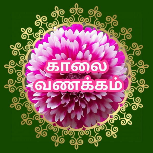Good Morning Wishes Images In Tamil