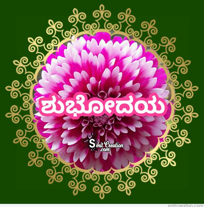 Good Morning In Kannada Pictures And Graphics Smitcreation Com