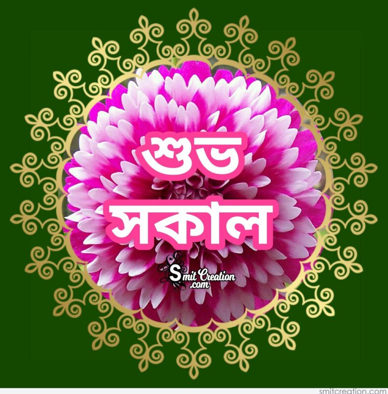 Good Morning In Bangla Pictures And Graphics Smitcreation Com