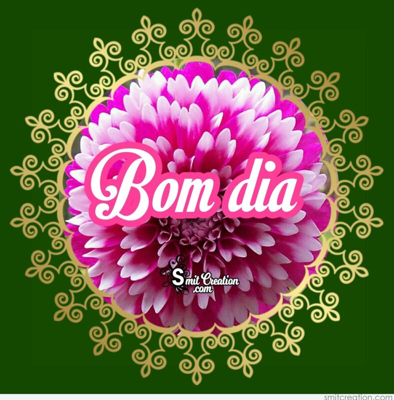 17 Bom dia – Portuguese - Pictures and Graphics for different festivals