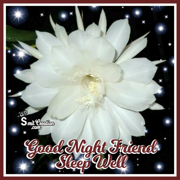 Good Night Friend Sleep Well