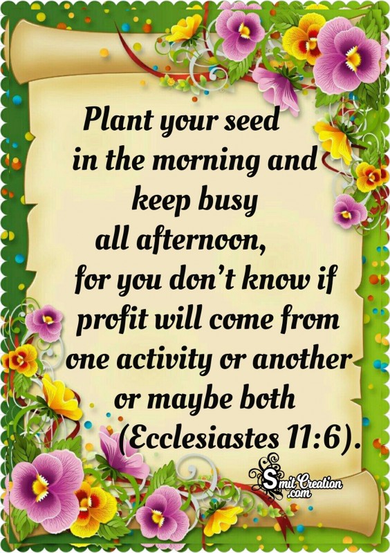 Plant Your Seed In The Morning