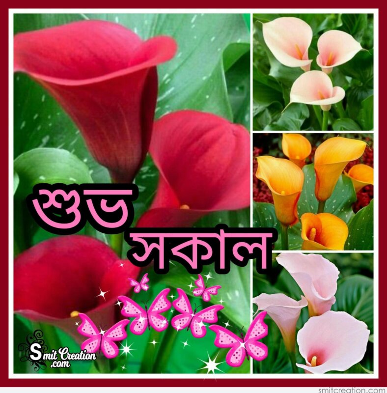 New Bengali Good Morning Image Awesome Greeting Hd Images