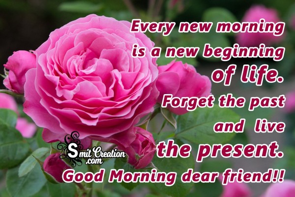 Every New Morning Is A New Beginning Of Life.