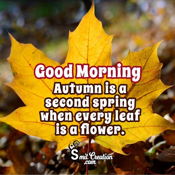 Good Morning – Autumn Is A Second Spring