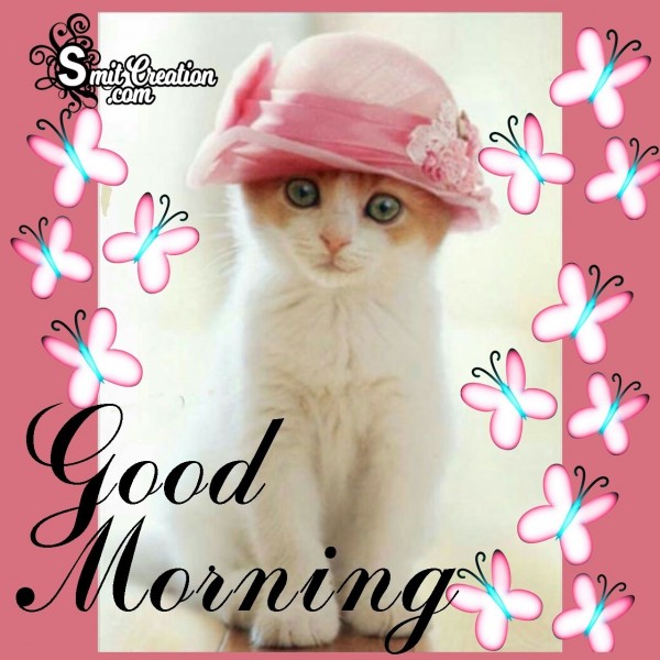 Good Morning Pussy Cat