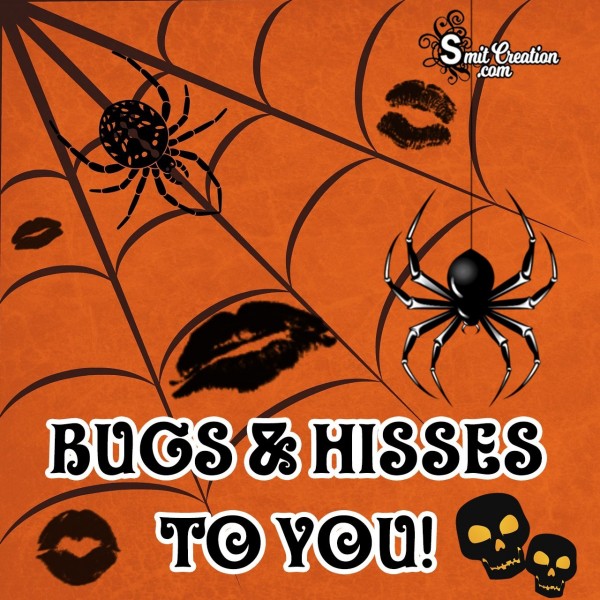 Bugs & Hisses To You!