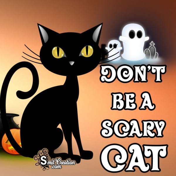 Don’t Be A Scary Cat