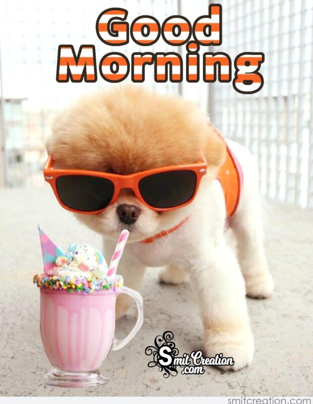 Morning greetings with Good morning cute dog Images and quotes