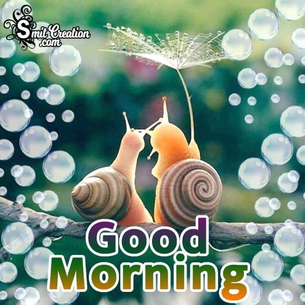 Good Morning Snail Image