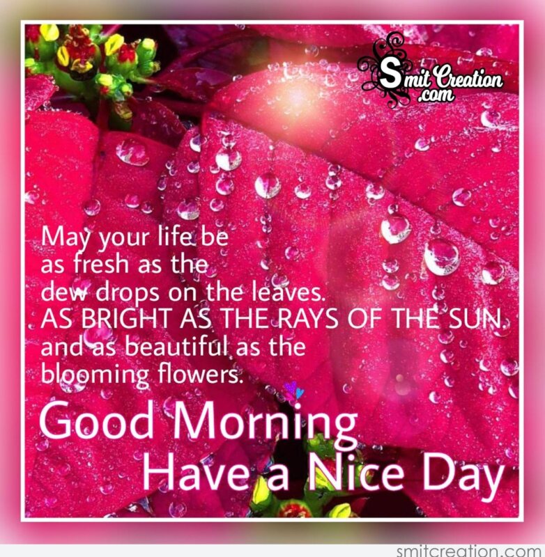 Good Morning Have A Nice Day - SmitCreation.com