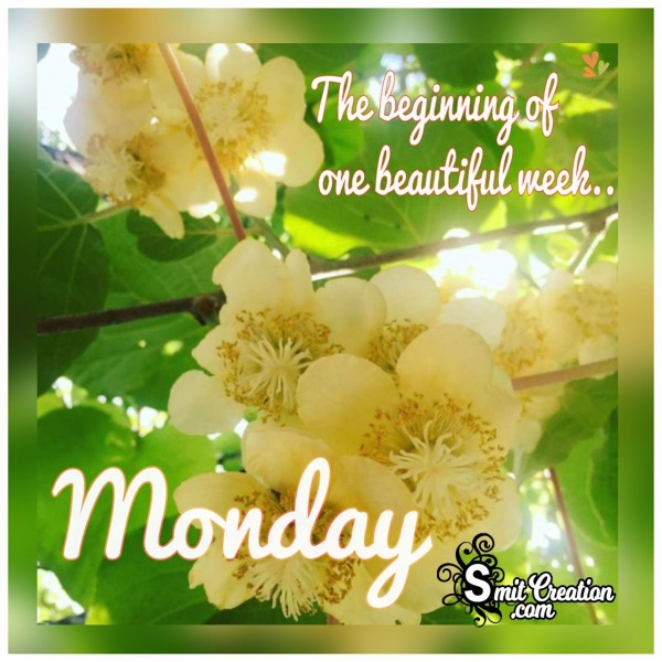 Monday The Begining Of One Beautiful Week